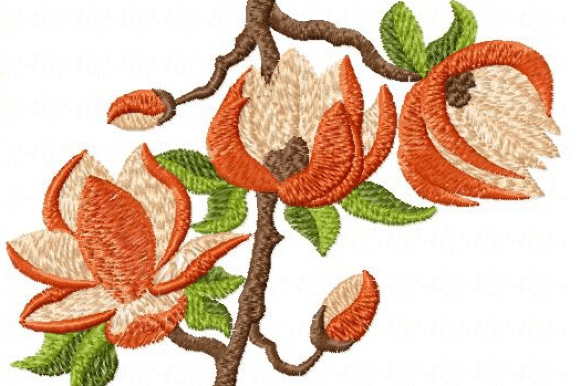 Magnolia