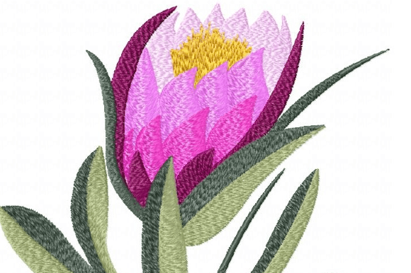 Protea Goblet